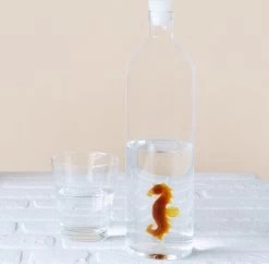 Balvi Waterfles - Zeepaard -Merkloos Winkel 1200x1178 1