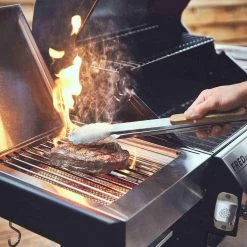 Burnhard Gas BBQ FRED JR. Deluxe - 2 Branders - Incl. Keramische Infraroodbrander & Afdekhoes - Deluxe 26 Burnhard Gas BBQ FRED JR. Deluxe - 2 Branders - Incl. Keramische Infraroodbrander & Afdekhoes - Deluxe -Merkloos Winkel 1200x1200 14