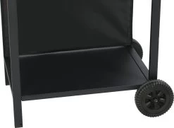 Bighorn Gasbarbecue En Grill – 2 Branders – Zwart -Merkloos Winkel 1200x880