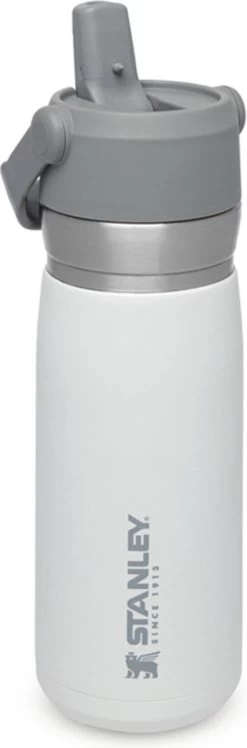 Stanley The IceFlow™ Flip Straw Water Bottle 0,65L - Thermosfles - Charcoal -Merkloos Winkel 396x1200